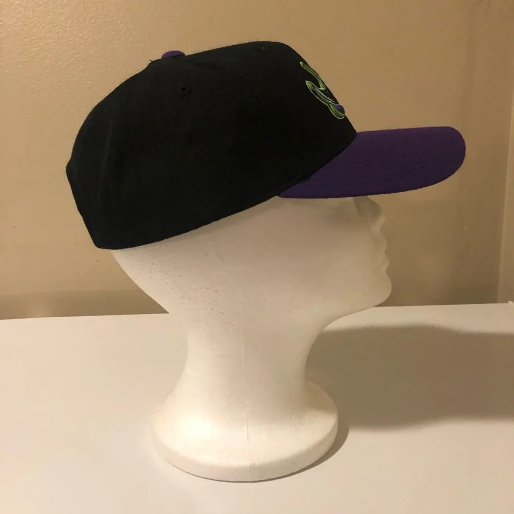 TAMPA BAY RAYS SNAPBACK - Picture 1 of 8